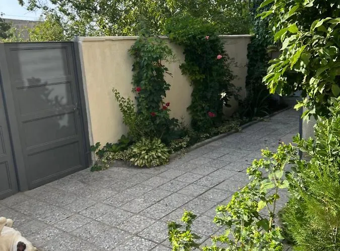 Cozy Space In Tbilisi