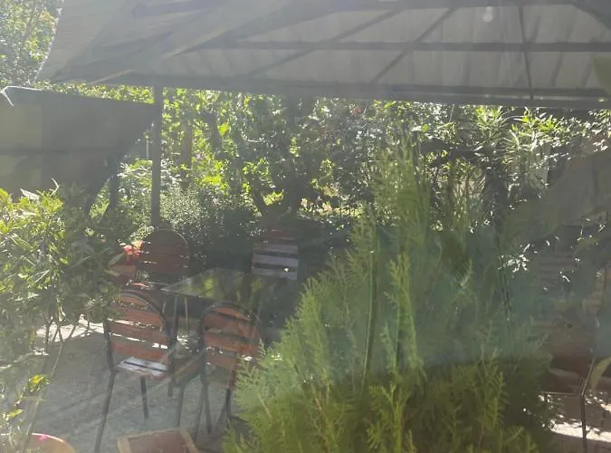 Cozy Space In Tbilisi